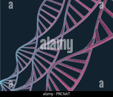 Grey DNA with polygon line on blue background. Polygonal space low poly with connecting dots and lines. Connection structure. Vector science background. Stock Vector