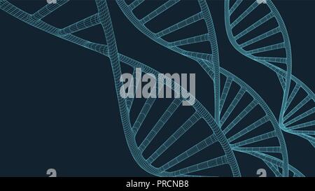 Grey DNA with polygon line on blue background. Polygonal space low poly with connecting dots and lines. Connection structure. Vector science background. Stock Vector