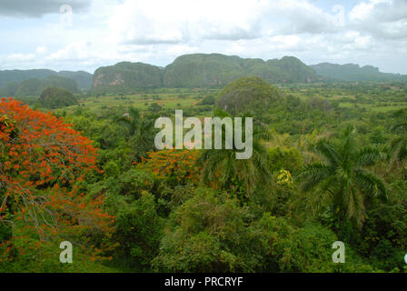 Viñales Valley, view across lush green landscape, Pinar del Rio Province, Cuba. Stock Photo