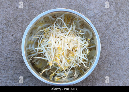 Close up of fresh mung bean sprouts in stainless steel bowl isolated