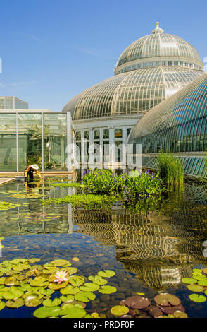 Marjorie McNeely Conservatory at Como Park in St Paul, Minnesota Stock Photo