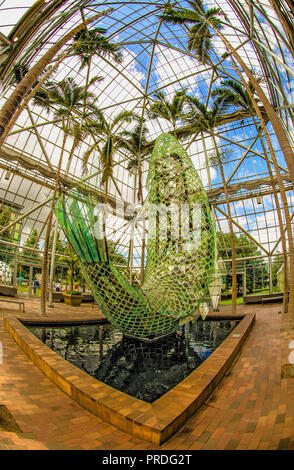 Standing Glass Fish sculpture by Frank Gehry, in wood, glass, steel, silicone, plexiglass & rubber, in the Minneapolis Sculpture Garden conservatory Stock Photo