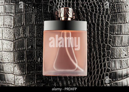 Luxurious bottle of perfume on black crocodile skin texture covered with water drops Stock Photo