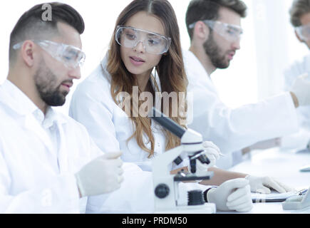 young scientists discussing the results of experiments in the laboratory Stock Photo