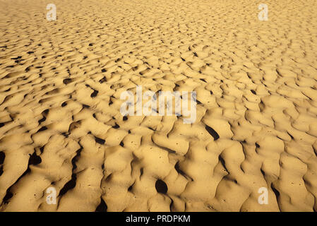 Sand Dunes on the Shores of Lake Michigan with Shadows and Waves similar to the Ocean. Sandy Beach is Close. Stock Photo