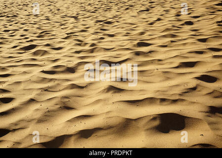 Sand Beach of Lake Michigan with Waves. Sandy Dunes on the Shore. Closer-up Stock Photo