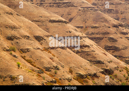 Canyon view from Rattlesnake Grade, Wallowa County, Oregon Stock Photo