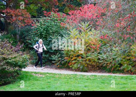 Hastings, East Sussex, UK. 2nd Oct, 2018. UK Weather: Autumnal weather and a slight breeze in the air with heavy rain expected later on as a few people take a stroll around Alexandra park. This woman enjoys a jog around the park, jogging past the autumn colours of the bushes. © Paul Lawrenson 2018, Photo Credit: Paul Lawrenson / Alamy Live News Stock Photo