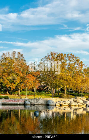 Upside down autumn trees with blue sky reflection in water. Stock Photo