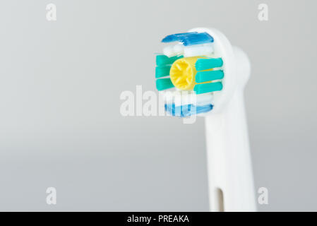 Head of electrical tooth  brush isolated on white background Stock Photo