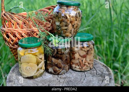 Jar of variety forest mushrooms Stock Photo