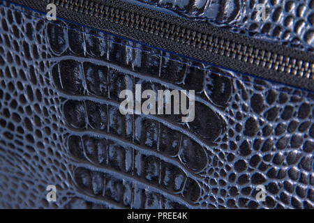 Background texture blue reptile skin with zipper Stock Photo