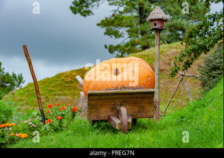 Old wooden wheelbarrow carrying a giant pumpkin lays on a grassland with large trees and a cute bird house in the background. Stock Photo