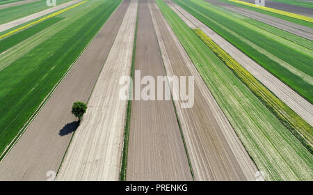 aerial shot from the drone - spring fields Stock Photo