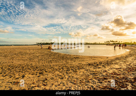 Scenic Tropical Sunset at Maracaipe Beach, near Porto de Galinhas Beach, in a beautiful blue sky day, Pernambuco, Brazil Stock Photo