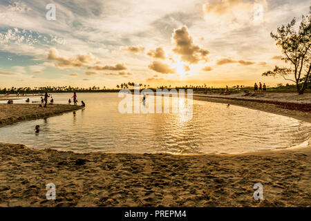 Scenic Tropical Sunset at Maracaipe Beach, near Porto de Galinhas Beach, in a beautiful blue sky day, Pernambuco, Brazil Stock Photo