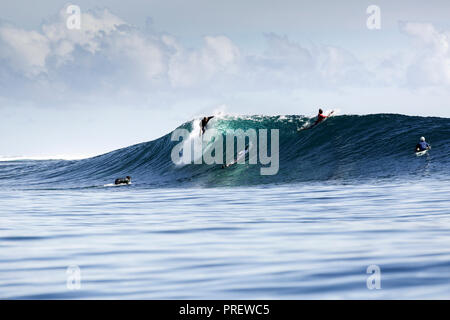 Surfing a large blue reef wave in the Maluku islands, Indonesia Stock Photo