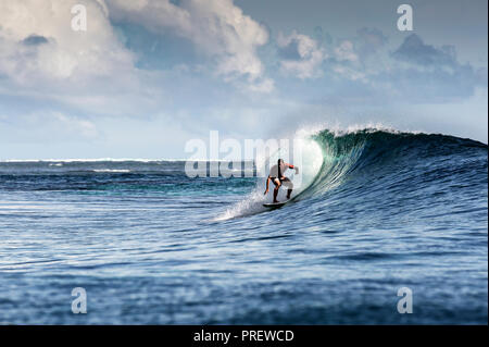Surfing a blue reef wave in the Maluku islands, Indonesia Stock Photo
