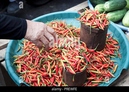Hot chili peppers for sale at Tomohon market in Sulawesi, Indonesia Stock Photo