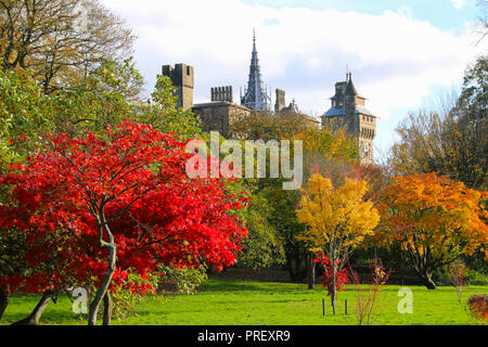 Cardiff Castle, South Wales, UK in the autumn sunshine Stock Photo