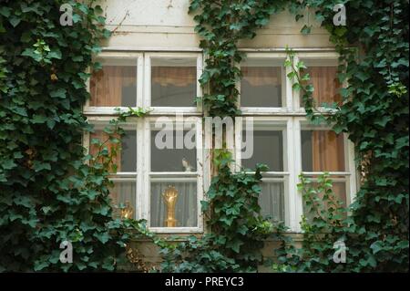 Wien, Blutgasse - Vienna, Blutgasse Stock Photo