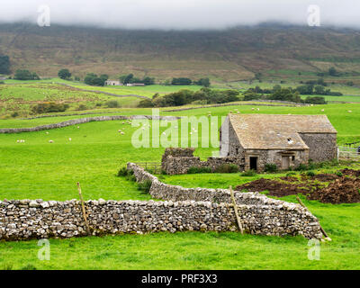 Field barn and dry stone walls below Whenside shrouded in low cloud Ribblehead Yorkshire Dales England Stock Photo