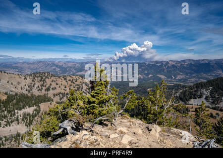 Wyoming mountain wildfire rages in the distance, view from a ridge cliff summit in Wyoming's Bridger Teton National Forest. Stock Photo