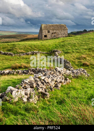Field barn and old dry stone wall near Ribblehead Yorkshire Dales England Stock Photo