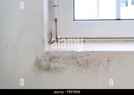 Black mold on white window sill and wall. Poor ventilation, humidity, condensation cause fungus on the walls Stock Photo