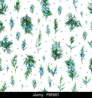 Juniper seamless pattern nature background Stock Photo