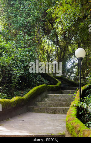 Summer landscape with footpath and tropical forest Road with stone stairs near temple in Bali, Indonesia