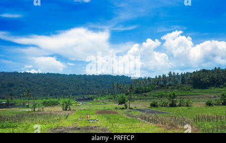 Summer rural landscape by cloudy blue sky on sunny day. Panoramic view with green fields in Bali, Indonesia Stock Photo