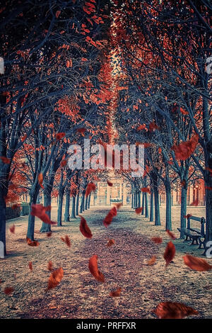 Leaves falling in the park in Paris Leaves falling in the park in Paris