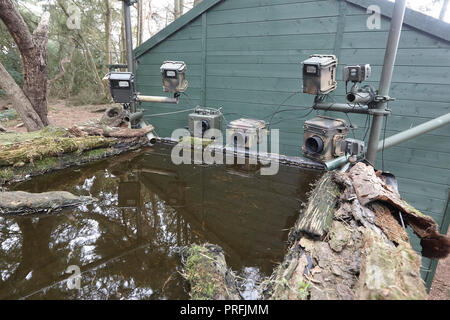 dslr camera trap sensor