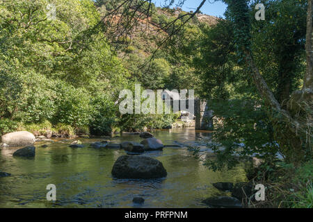 Fingle Bridge on Dartmoor viewed from river through trees Stock Photo