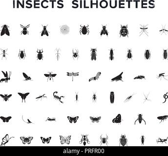 Vector set of insect silouettes isolated on white Stock Vector