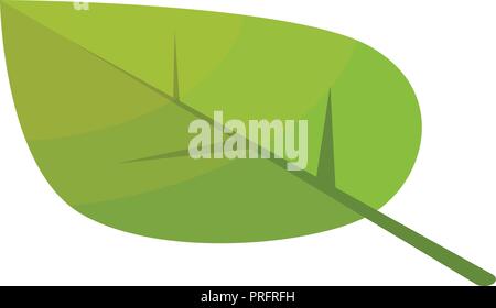 Poplar tree leaf icon, isometric style Stock Vector