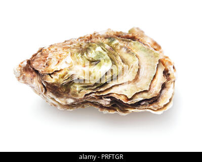 single oyster isolated on white background Stock Photo