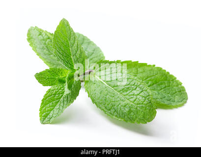 twig of fresh green mint leaves isolated on white background Stock Photo