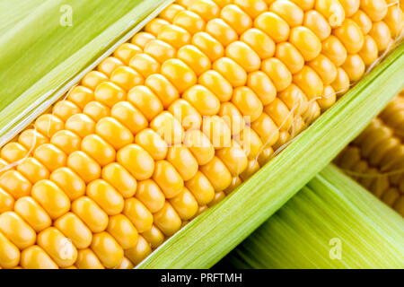 close-up view of fresh raw corns with leaves Stock Photo
