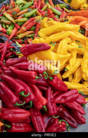 Peppers and chilis for sale at Daylesford Organic farm shop autumn festival. Daylesford, Cotswolds, Gloucestershire, England Stock Photo