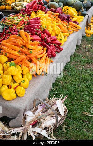 Peppers, chilli and pumpkins for sale at Daylesford Organic farm shop autumn festival. Daylesford, Cotswolds, Gloucestershire, England Stock Photo