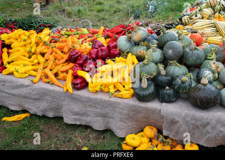 Peppers, chilli and pumpkins for sale at Daylesford Organic farm shop autumn festival. Daylesford, Cotswolds, Gloucestershire, England Stock Photo