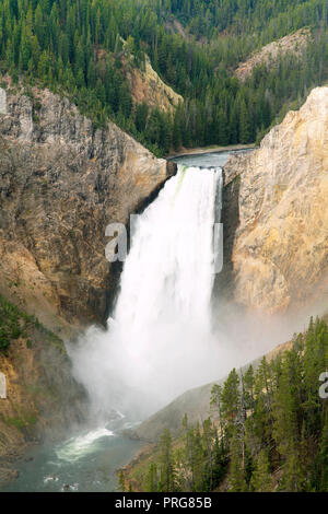 Lower Falls of the Grand Canyon of Yellowstone at Yellowstone National Park. Stock Photo