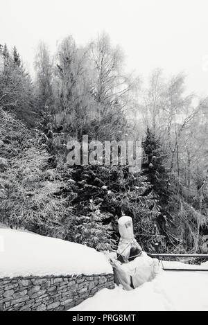 Small backyard with a frozen stone  barbecue, on a mountain house covered with snow, trees and woods in a background, monochrome Stock Photo