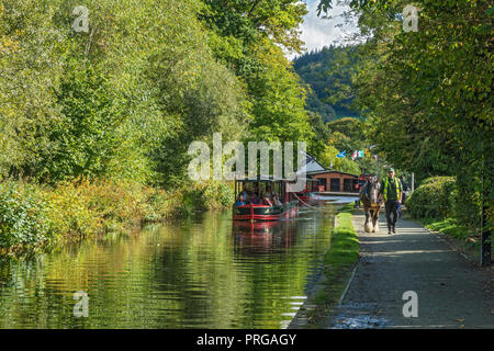 Horse drawn tourist barge on the heading west through Llangollen on the Llangollen Canal North Wales UK September 2351 Stock Photo