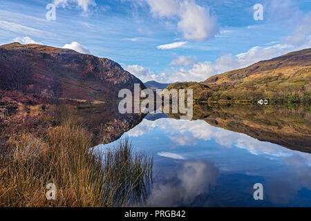 Reflections in Llyn Dinas in the Nant Gwynant valley near Beddgelert looking west with Moel Lefn in the background Snowdonia National Park North Wales Stock Photo