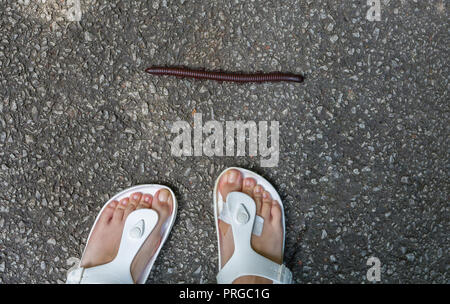 A huge millipede runs across the road right in front of the girl's legs Stock Photo