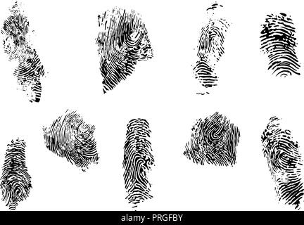 fingerprint set vector illustration Stock Vector