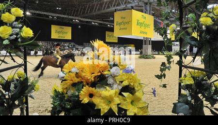 Birmingham, UK. 3rd October, 2018. The Topspec arena. Horse of the year show (HOYS). National Exhibition Centre (NEC). Birmingham. UK. 03/10/2018. Credit: Sport In Pictures/Alamy Live News Stock Photo